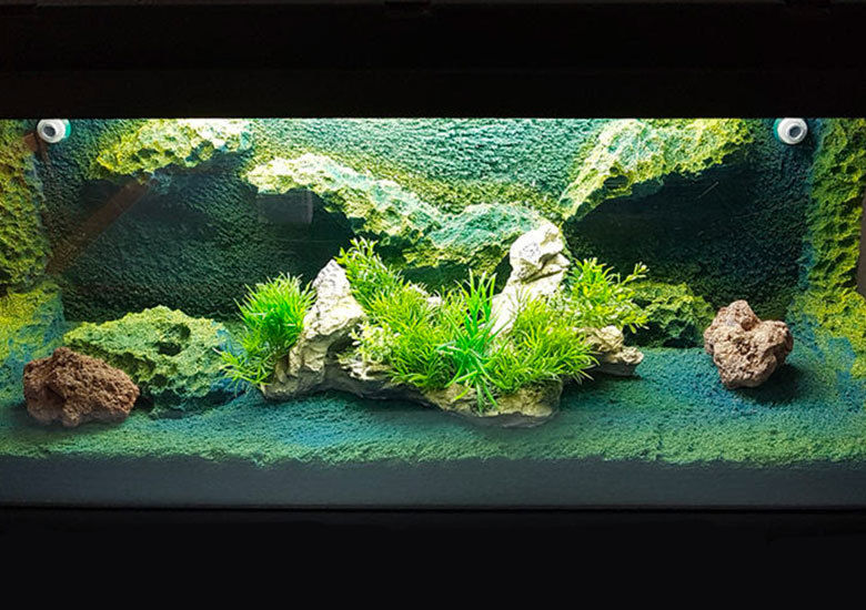 Aquascape within an aquarium made from foam.