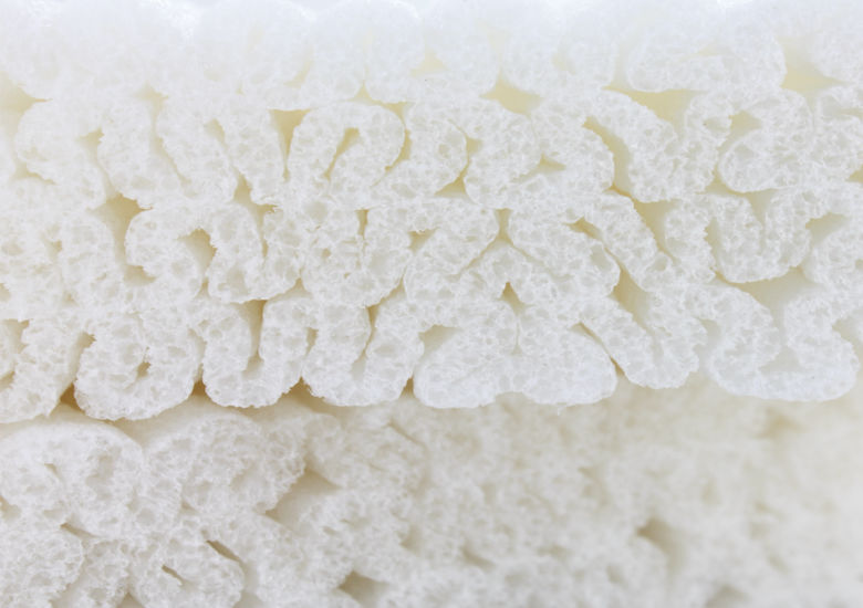 Biodegradable Foam